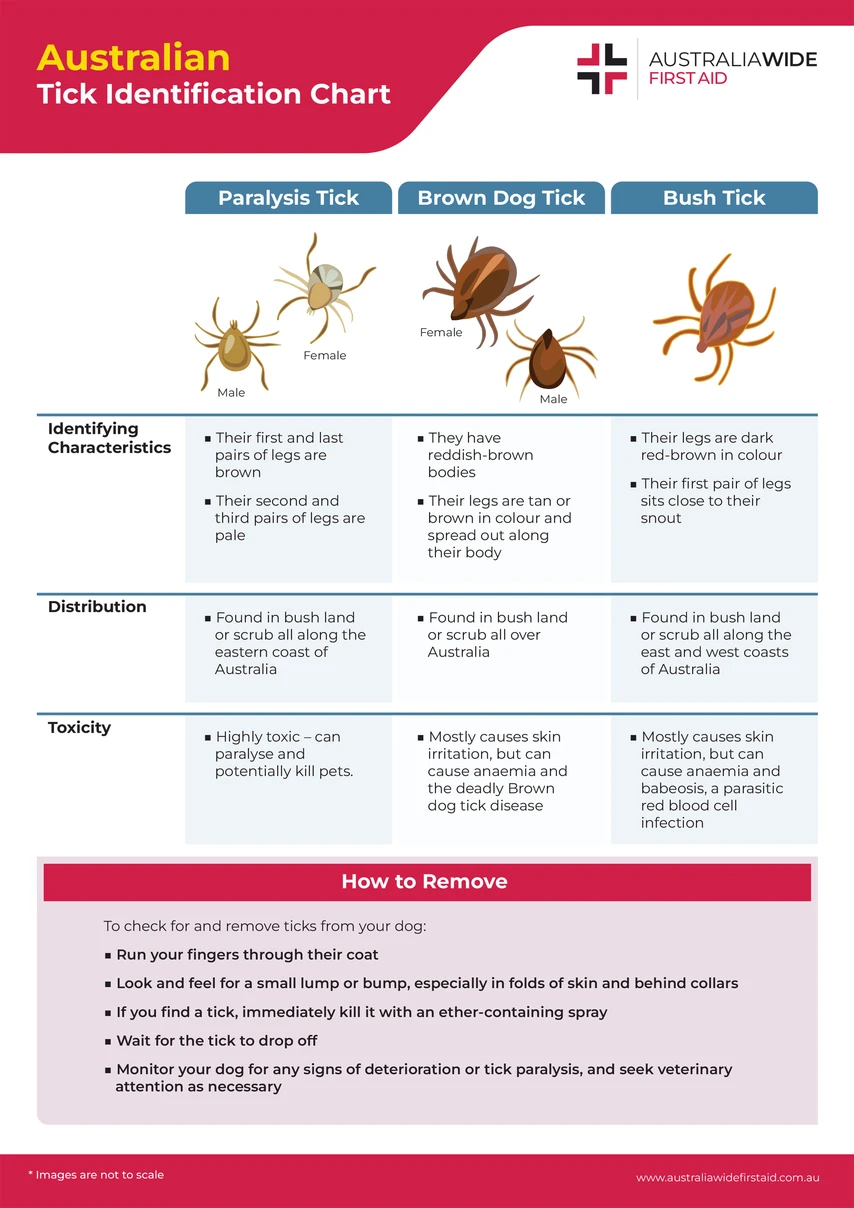 tick identification chart